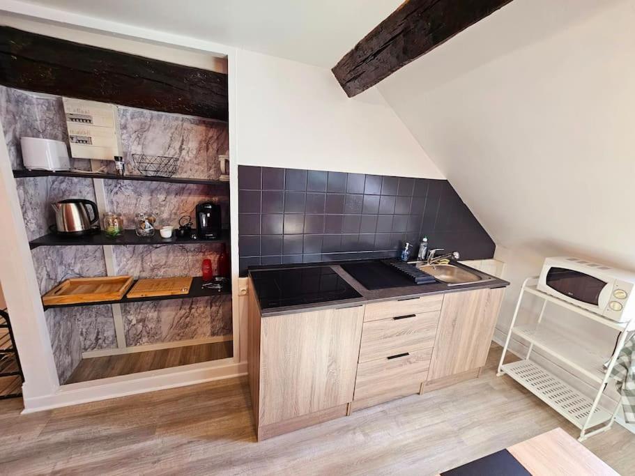 Le Bourbon Hypercentre Appartement *